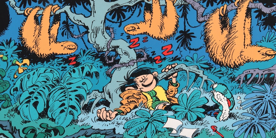 BANDES DESSINEES - Univers de Franquin